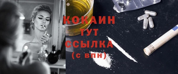 индика Надым