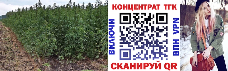 ТГК вейп с тгк  цена   Новороссийск 